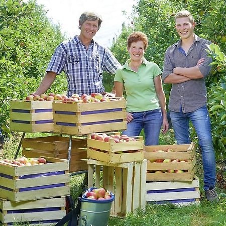 Apartmán Winzerhof Woerner Durbach Exteriér fotografie