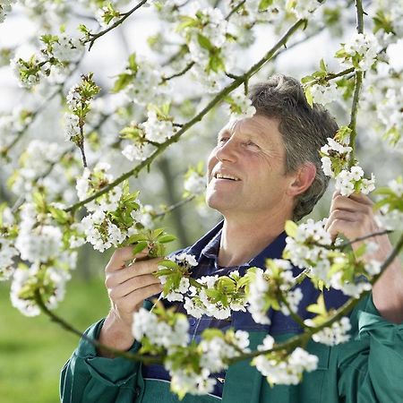 Apartmán Winzerhof Woerner Durbach Exteriér fotografie