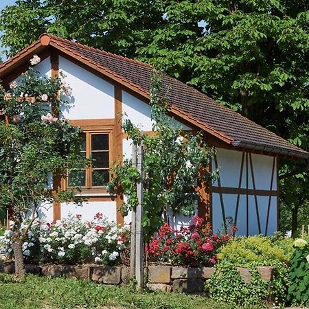 Apartmán Winzerhof Woerner Durbach Exteriér fotografie