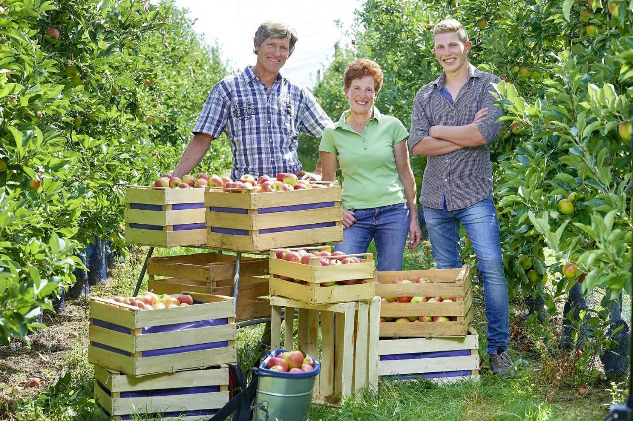 Apartmán Winzerhof Woerner Durbach Exteriér fotografie