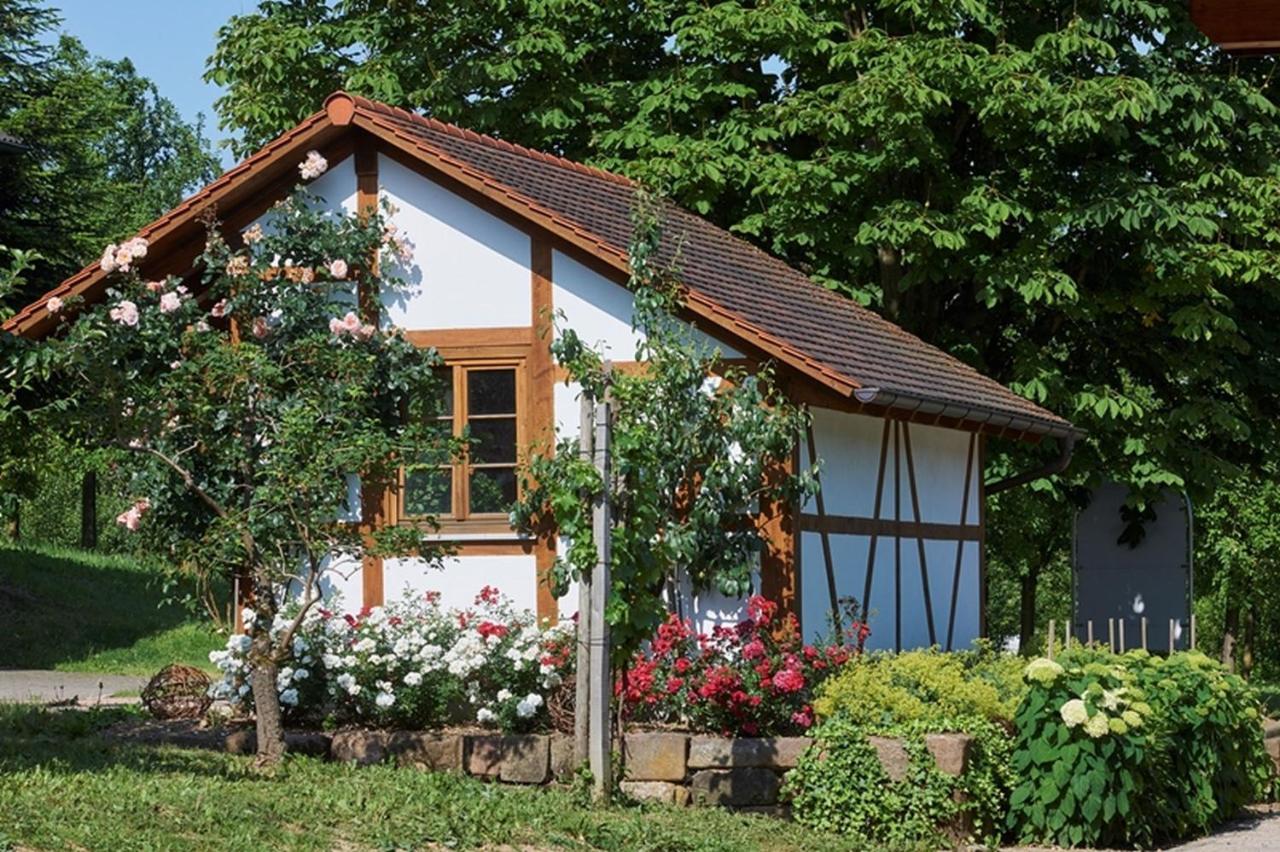 Apartmán Winzerhof Woerner Durbach Exteriér fotografie